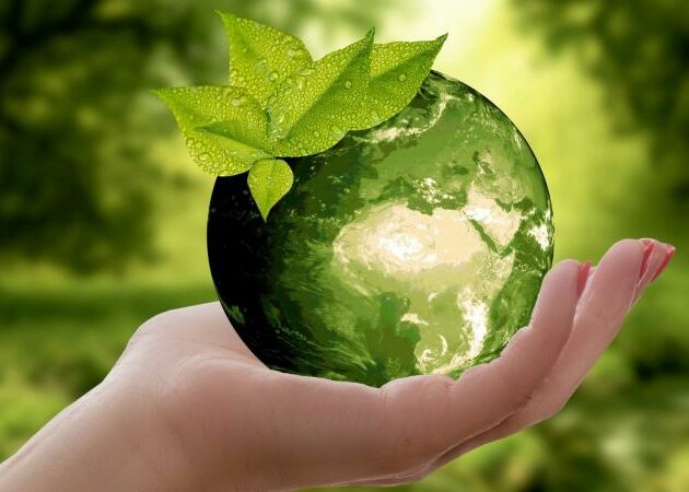 Green Plasturgie: une organisation professionnelle des industriels éco-responsables de la plasturgie et des composites