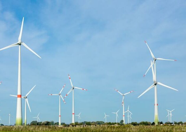Enercon deploys Plataine’s AI-based solution to increase throughput, reduce operational costs
