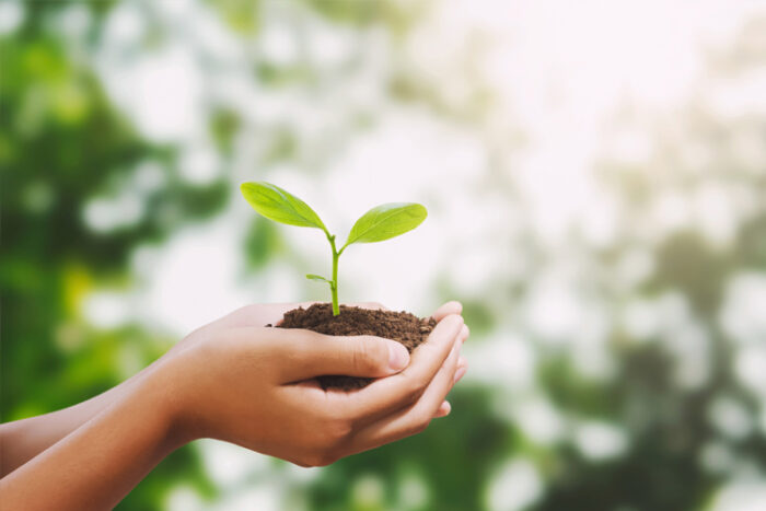 Sabic debuts a novel bio-based LNP compound that can help reduce carbon emissions and fossil fuel use