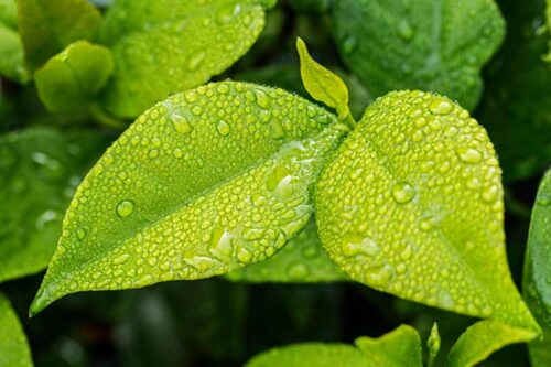 AGM launches a range of eco-friendly graphene dispersions