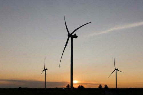 Vestas wins 101 MW order from ReNew Power in India