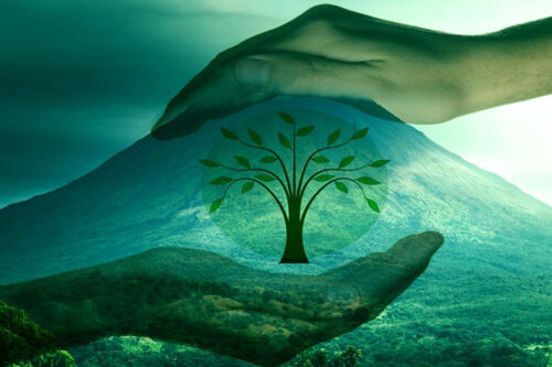 Diab reduces carbon footprint by 46%