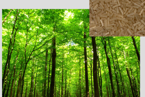 Polyplastics’ new Plastron® LFT are made of regenerated cellulose for lighter weight and higher strength