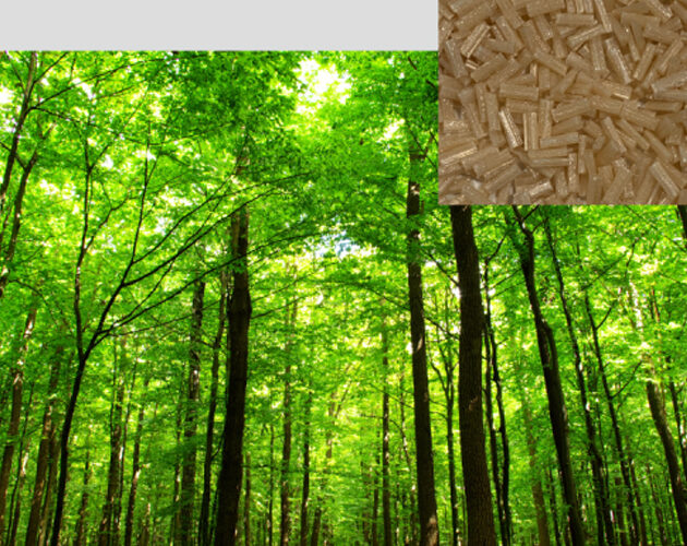 Polyplastics’ new Plastron® LFT are made of regenerated cellulose for lighter weight and higher strength