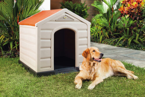 Rimax introduces consumer goods made with waste-based UBQ™ as eco-wise choice for pet owners
