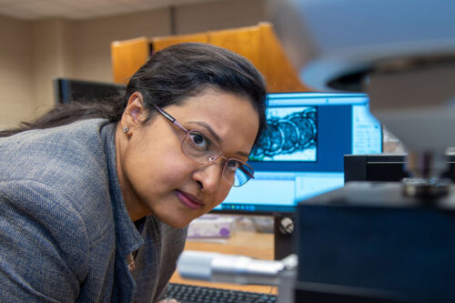 Sabrina Nilufar, assistant professor in the SIU School of Mechanical, Aerospace, and Materials Engineering (Photo by Russell Bailey)
