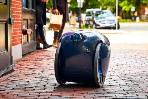 Gita mini, the Sherpa robot