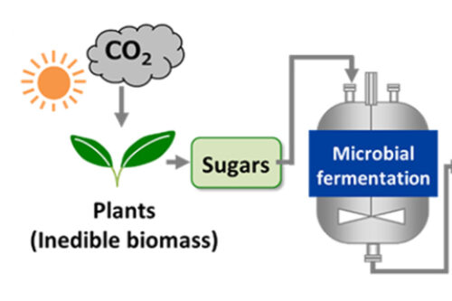 Toray introduce bio-based adipic acid for polyamide 66