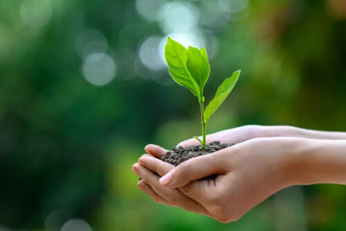 Net Zero at the heart of NCC’s Core Research programme for 2022/23