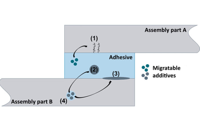 Schematic representation of the damage to bonded joints that can be caused by additive migration out of or into the adhesive: Stress cracks (1), plasticisation or cohesion disturbance (2), adhesion disturbance (3) and embrittlement (4) (Illustration: SKZ)