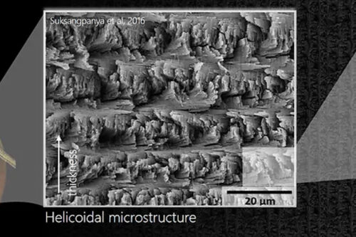 Helicoid Industries Inc. released three use cases of its performance enhancing technology