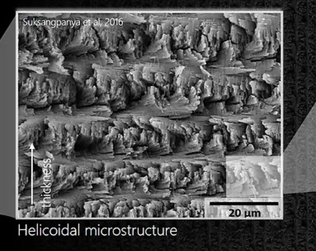 Helicoid Industries Inc. released three use cases of its performance enhancing technology