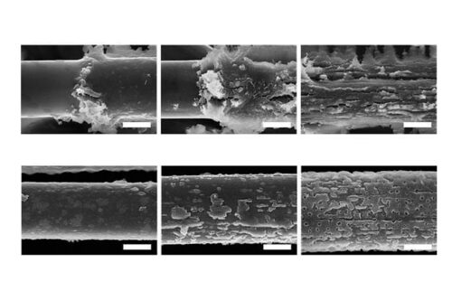 A South Korean joint research team develops a carbon fiber-based paper electrode