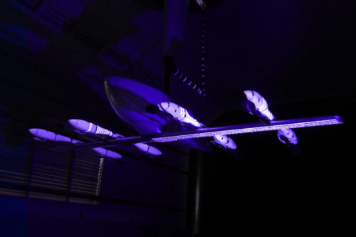Eve Air Mobility completes eVTOL wind tunnel testing
