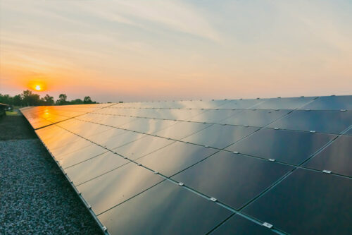 XlynX Crosslinker enables ultra-stable perovskite solar cells