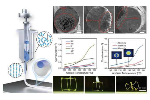 4D printing of continuous fiber reinforced liquid crystal elastomer composites