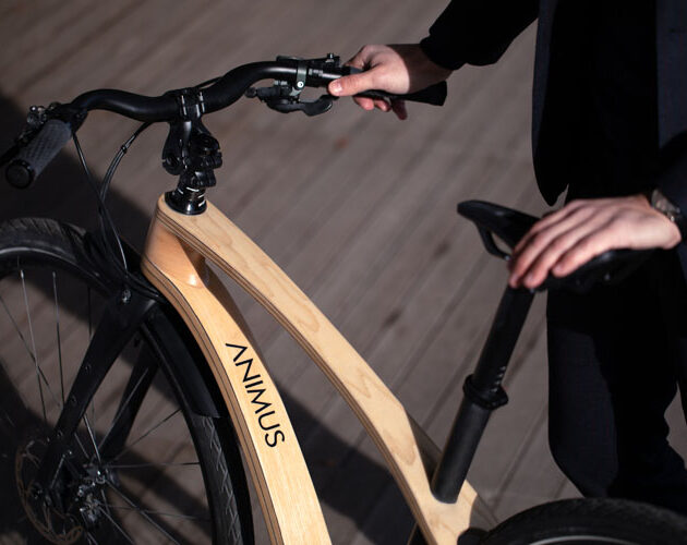 Animus wood and carbon bike