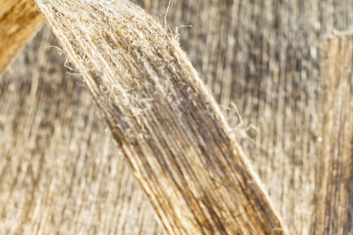 Investing in BPREG, Kordsa expands its advanced materials capabilities into biocomposites