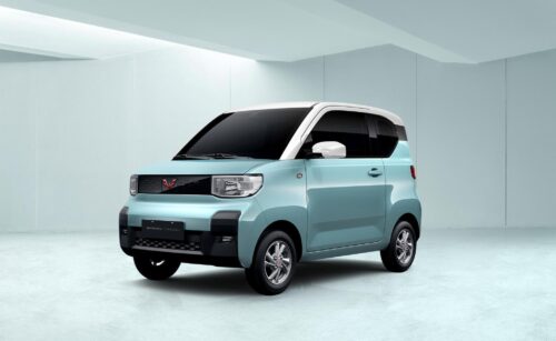 Wuling Hongguang MINI è bamboo fibre