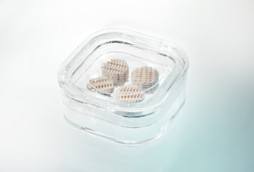 Sallea sample kit